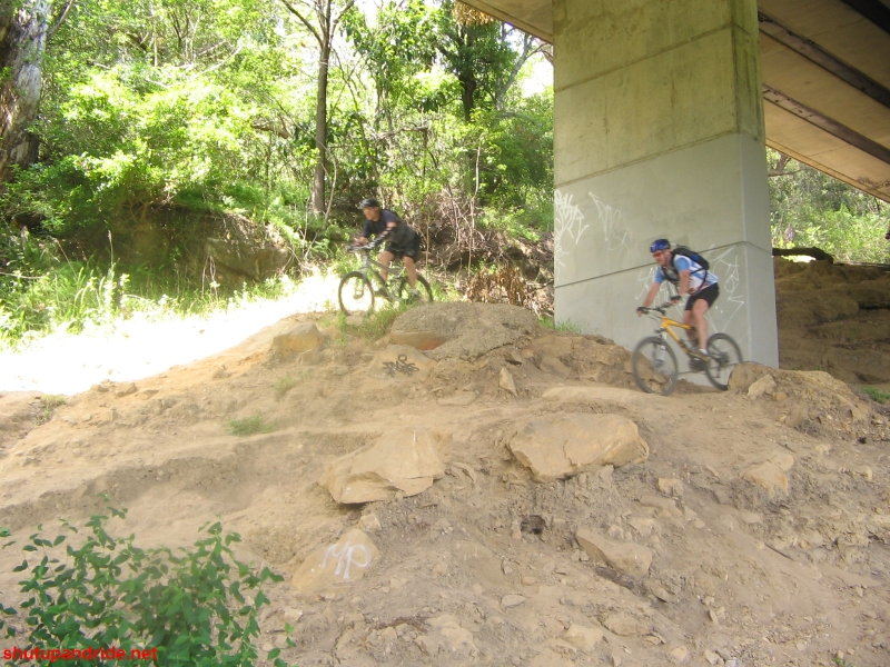 20061210-Lindfield 059 